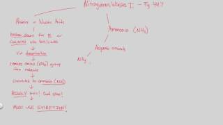 Excretion  Nitrogenous Wastes I  BIALIGYcom [upl. by Rizan27]