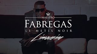 Fabregas Le Metis Noir présente Ibrator  Limousine [upl. by Araet]