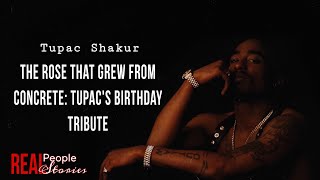 The Rose That Grew from Concrete Tupac Shakur Birthday Tribute [upl. by Neile]