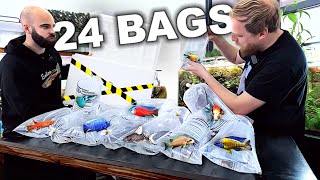 FIRST HUGE Fish Unboxing for NEW Aquariums [upl. by Otilrac840]