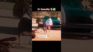 😮Z Security Ever⚠️shorts trending [upl. by Ahseyk]