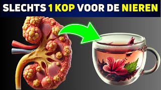 De 5 Beste Theeën voor Gezonde Nieren en Verlaging van de Bloeddruk [upl. by Dreddy958]