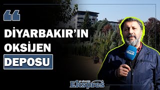 Diyarbakır’ın oksijen deposu  Ekspres Haber [upl. by Bui914]