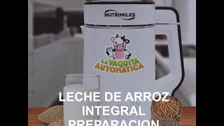 Leche de Arroz Integral  Preparación  Maquina para hacer leches vegetales [upl. by Eseenaj]