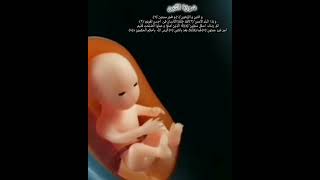 Quran surah Alteen By Paradise world yt short [upl. by Oberstone]