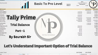 10 Lets Learn About Trial Balance Related Important Options trialbalance  MittalPathshala [upl. by Rufford]