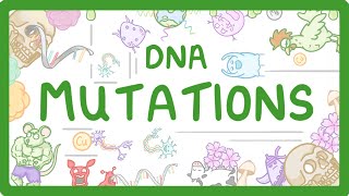 GCSE Biology  What are DNA Mutations 67 [upl. by Polito282]