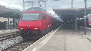 IC8 nach Romanshorn einfahrt in Thun [upl. by Skill443]