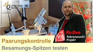 Bienenköniginen kontrolliert paaren Test von Kapillaren zur instrumentellen Besamung [upl. by Bryan]