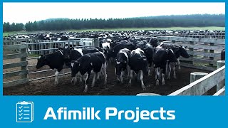 afimilk®  The worlds largest dairy farm project in Vietnam [upl. by Cleodal]