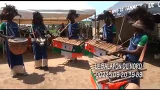 BALAFON DE OUAZOMON AVEC BAKARY [upl. by Tnecillim925]