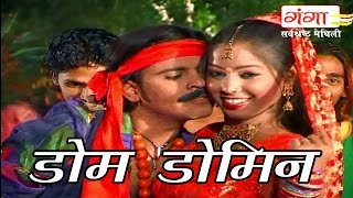 Maithili Songs  डोम डोमिन  Maithili Hit Songs [upl. by Notlim]