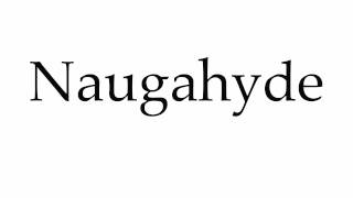 How to Pronounce Naugahyde [upl. by Trutko119]