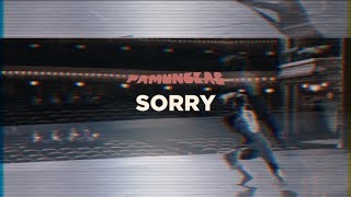 Pamungkas  Sorry Lyrics Video [upl. by Ramso]