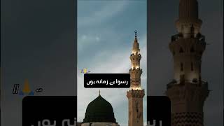 Main Qabar andheri mein Naat slowedreverb Islamic status [upl. by Sonstrom]