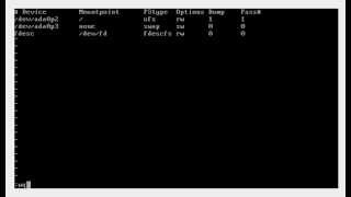 Setting Up Python Development Environment In FreeBSD 102 [upl. by Ttennaj381]