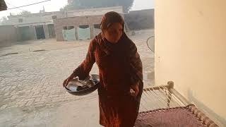 Village Living Routine WorkDaily Routine In Rural AreasPak Family Vlogs [upl. by Einneb670]