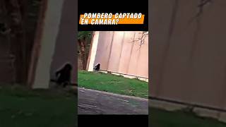 ¿Pombero captado en camara trendingshorts youtubeshorts shortvideos shortsviral [upl. by Dugald]