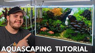 Aquascaping Tutorial 60cm Diorama Aquarium Komplette Einrichtung [upl. by Chapa]