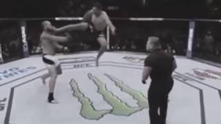 Flying side kick Fabricio Werdum MMA [upl. by Vookles]