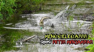 MENGGELEGARR  MANCING CASTING IKAN GABUS SEPERTI PETIR MENYAMBAR DI SIANG BOLONG AS127 [upl. by Arehc373]