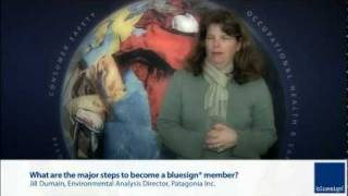 What are the major steps to become a bluesign® member [upl. by Rhoads862]