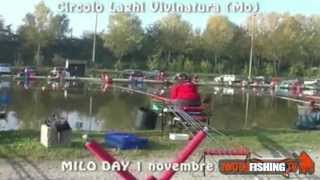 PESCA al COLPO ai laghi Vivinatura Modena [upl. by Mcclees437]