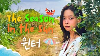 🍧윈터  The Season In The Sun Tube튜브チュブ  Aespa winter ai cover 커버 [upl. by Teirtza189]