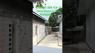 House Shopping In The Philippines 24 Million Php 42500 philippines travel vlog [upl. by Yldarb107]