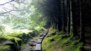 Wicklow Way 2019 Ireland May the road rise to meet you [upl. by Celina]