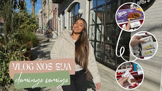 Vlog nos EUA arrumese comigo mercado brasileiro e pet store  Gabriela Turato [upl. by Thetis]