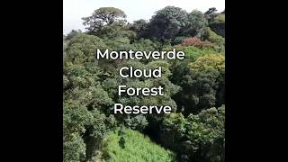 Monteverde Cloud Forest Reserve [upl. by Einej]