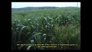 PARC Palestine  producing almonds and couscous Maftoul [upl. by Litman]