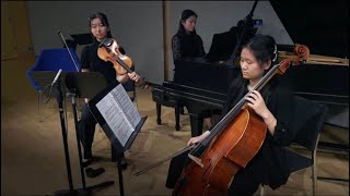 Ravel Piano Trio mvt 1 51124 [upl. by Hurwitz523]