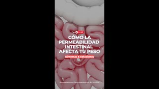 Cómo la permeabilidad intestinal afecta tu peso Síntomas y Soluciones [upl. by Bigler533]