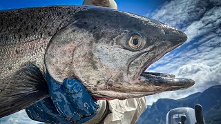 The Wind River Grind Spring Chinook [upl. by Willmert300]