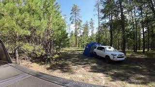 DJI Avata  Payson Woods flying the Ponderosa Pines ELK deer wildlife trees and Forest [upl. by Artenal]