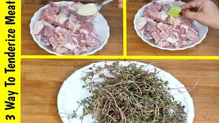 How To Make Meat Tenderizer  Gosht Ko Jaldi Galane Ka 3 Amazing Tarika  Special Bakra Eid Recipe [upl. by Benkley]