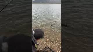 Here Is Seven Fishing At 11 Mile Reservoir In Lake George Colorado Beautiful Place fishing fun [upl. by Trotta926]