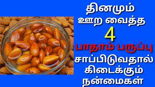 ஊற வைத்த பாதாம் பருப்பை சாப்பிடுவதால் உண்டாகும் நன்மைகள் [upl. by Cirenoj854]