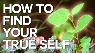 How to Find Your True Self  Swedenborg and Life [upl. by Onyx]