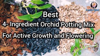 How to make Potting Mix for Orchids at Home and Repotting Dendrobium Orchid amritashaw orchidSoil [upl. by Noseyt]