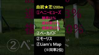 中山競馬開幕 芝1200ｍランキング発表！ [upl. by Jankell]