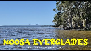 Noosa Everglades [upl. by Irehc]