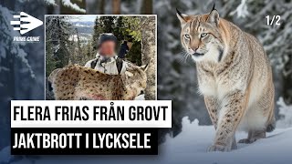 FLERA FRIAS FRÅN GROVT JAKTBROTT I LYCKSELE  DEL 12 [upl. by Crispin]