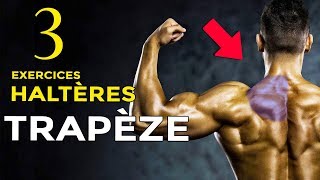 3 EXERCICES HALTÈRES POUR SE MUSCLER LES TRAPÈZES EN MUSCULATION [upl. by Robb447]