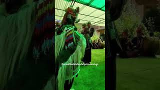 Aryan people dance lehladakhtrip lrh aryan ladhakh laddugopal lehnga aryantossperdiction [upl. by Mccallion]