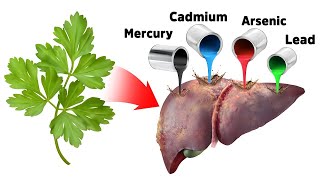 The Best Strategy for Detoxifying Heavy Metals SAFELY [upl. by Adkins]