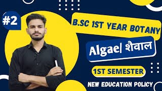 शैवाल bsc 1st year botany chapter 1 algae  botany bsc 1st year  botany 1st semester classes 2024 [upl. by Umeko]