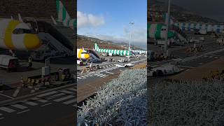 Four Condor airline planes at once at Madeira airport shorts [upl. by Gnas]